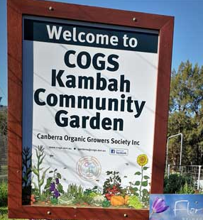 Kambah Garden