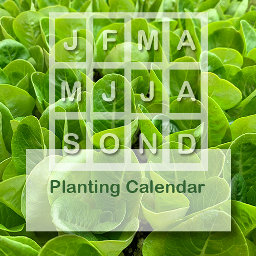 Planting Calendar