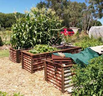 Raised garden beds at BCG made from recycled materials. Photo: Jo Kirwan