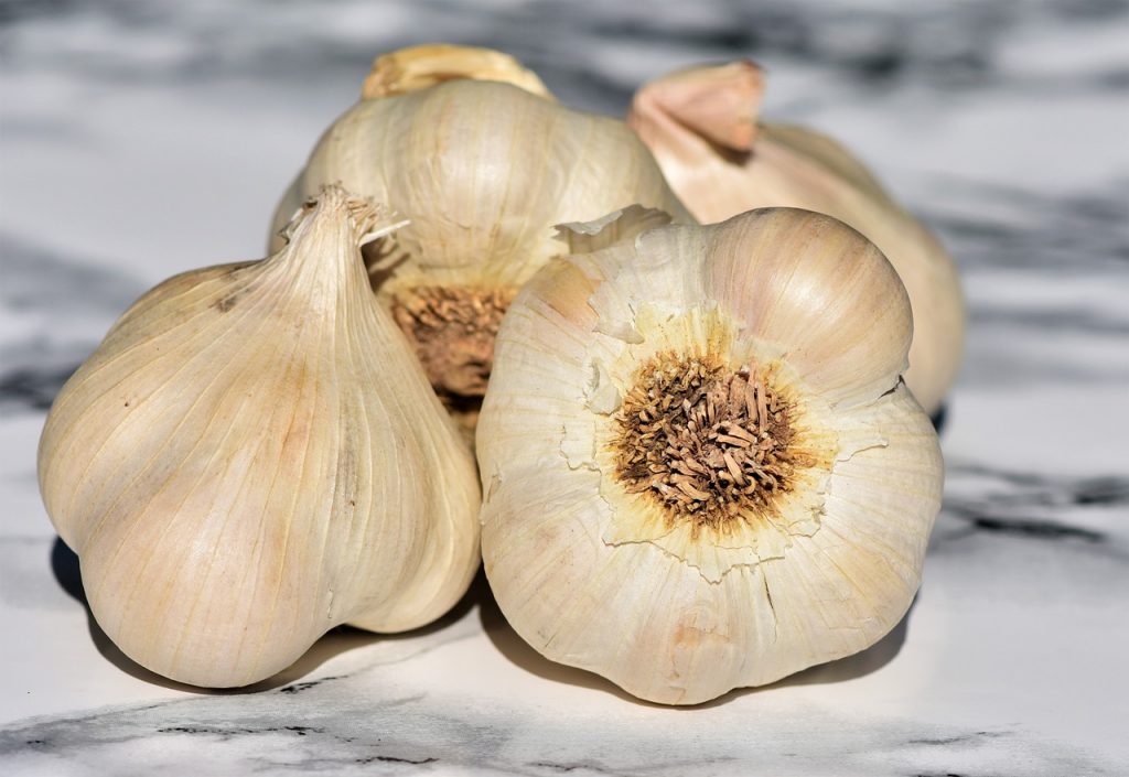 Garlic (Photo: Pixabay)
